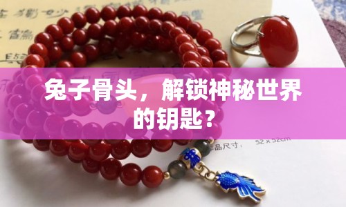 兔子骨頭，解鎖神秘世界的鑰匙？