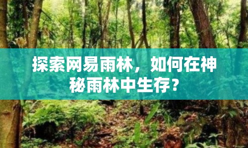探索網(wǎng)易雨林，如何在神秘雨林中生存？