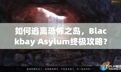 如何逃離恐怖之島，Blackbay Asylum終極攻略？