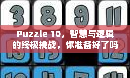 Puzzle 10，智慧與邏輯的終極挑戰(zhàn)，你準(zhǔn)備好了嗎？