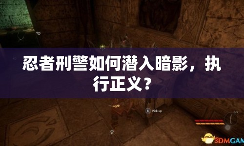 忍者刑警如何潛入暗影，執(zhí)行正義？