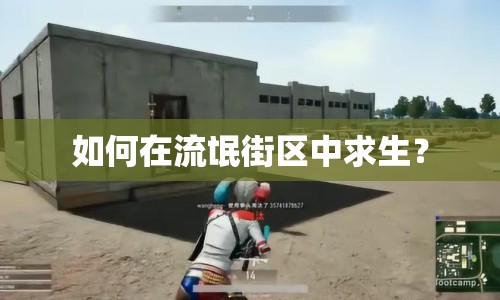 如何在流氓街區(qū)中求生？