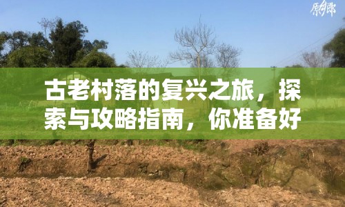 古老村落的復(fù)興之旅，探索與攻略指南，你準(zhǔn)備好了嗎？