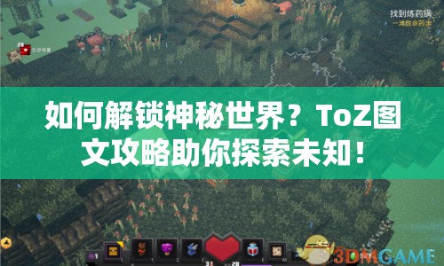 如何解鎖神秘世界？ToZ圖文攻略助你探索未知！