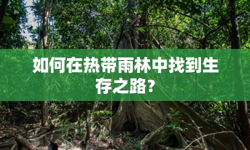 如何在熱帶雨林中找到生存之路？