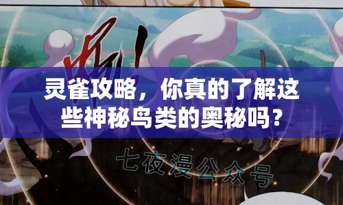 靈雀攻略，你真的了解這些神秘鳥類的奧秘嗎？
