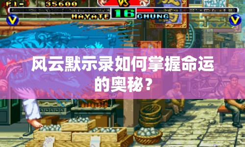 風(fēng)云默示錄如何掌握命運(yùn)的奧秘？