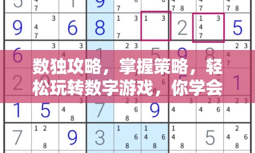 數(shù)獨攻略，掌握策略，輕松玩轉(zhuǎn)數(shù)字游戲，你學(xué)會了嗎？