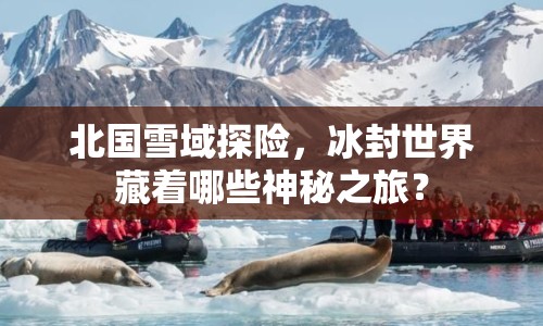 北國雪域探險，冰封世界藏著哪些神秘之旅？