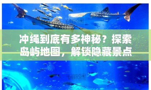 沖繩到底有多神秘？探索島嶼地圖，解鎖隱藏景點！