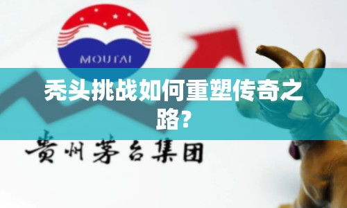 禿頭挑戰(zhàn)如何重塑傳奇之路？
