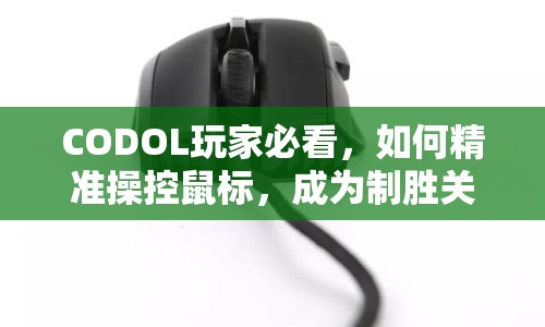 CODOL玩家必看，如何精準操控鼠標，成為制勝關鍵？