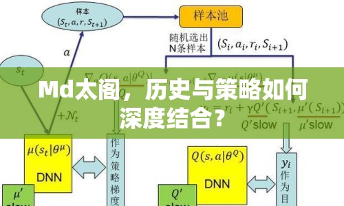 Md太閣，歷史與策略如何深度結(jié)合？