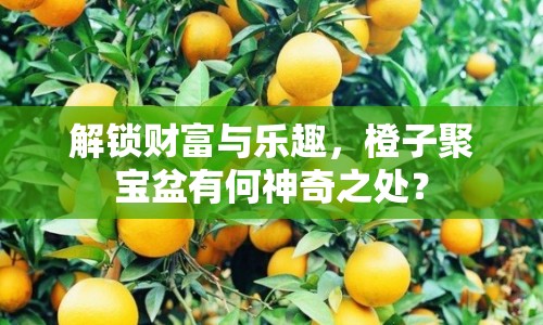 解鎖財(cái)富與樂(lè)趣，橙子聚寶盆有何神奇之處？