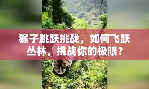 猴子跳躍挑戰(zhàn)，如何飛躍叢林，挑戰(zhàn)你的極限？