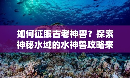 如何征服古老神獸？探索神秘水域的水神獸攻略來啦！
