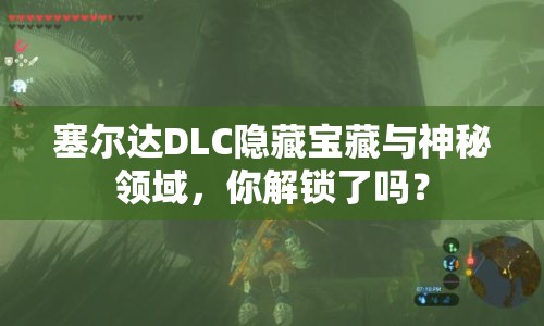 塞爾達(dá)DLC隱藏寶藏與神秘領(lǐng)域，你解鎖了嗎？