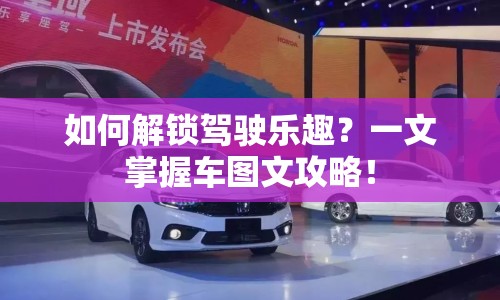 如何解鎖駕駛樂趣？一文掌握車圖文攻略！