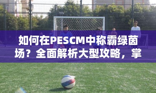 如何在PESCM中稱霸綠茵場(chǎng)？全面解析大型攻略，掌握必勝策略！