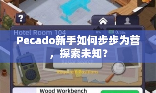 Pecado新手如何步步為營，探索未知？