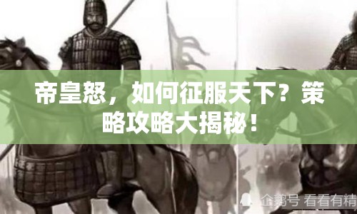 帝皇怒，如何征服天下？策略攻略大揭秘！