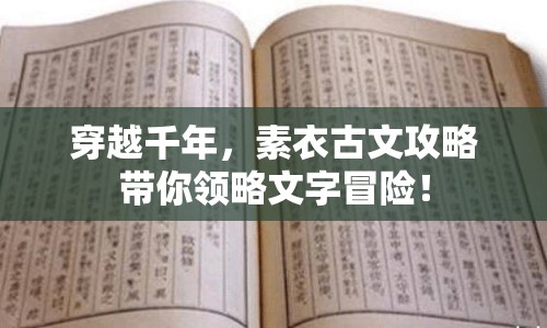 穿越千年，素衣古文攻略帶你領略文字冒險！