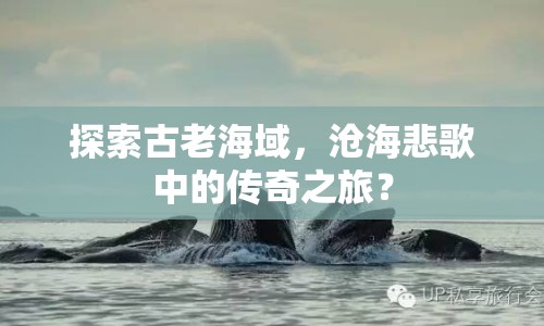 探索古老海域，滄海悲歌中的傳奇之旅？