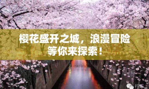 櫻花盛開(kāi)之城，浪漫冒險(xiǎn)等你來(lái)探索！
