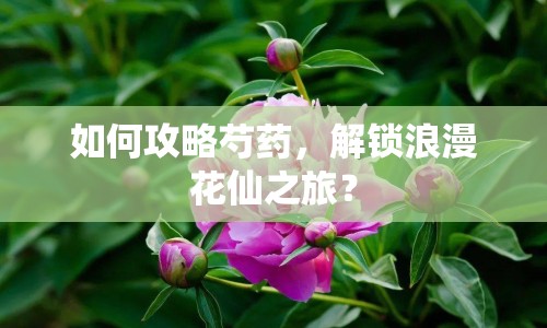 如何攻略芍藥，解鎖浪漫花仙之旅？