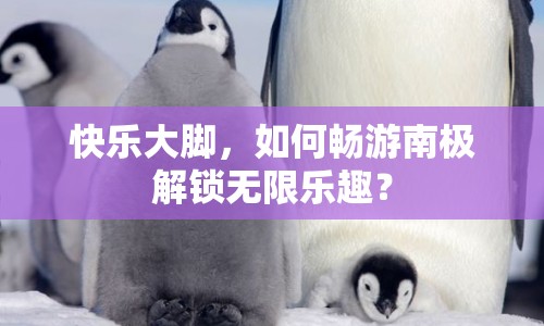 快樂大腳，如何暢游南極解鎖無限樂趣？