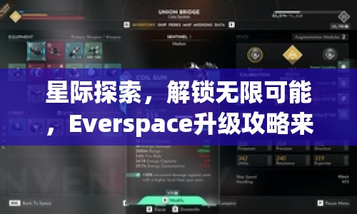 星際探索，解鎖無限可能，Everspace升級攻略來啦！