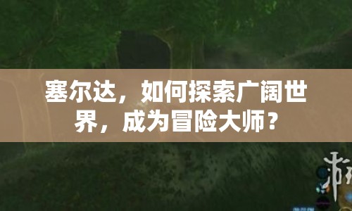 塞爾達(dá)，如何探索廣闊世界，成為冒險(xiǎn)大師？