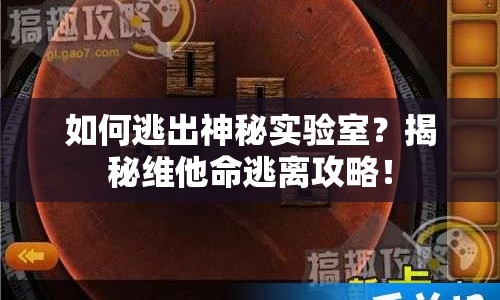 如何逃出神秘實(shí)驗(yàn)室？揭秘維他命逃離攻略！