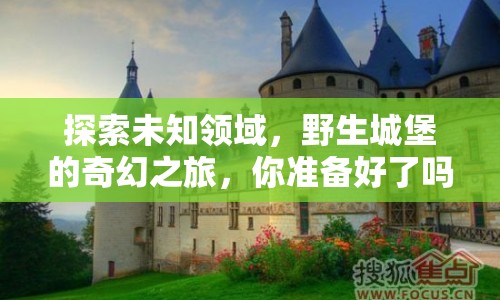 探索未知領域，野生城堡的奇幻之旅，你準備好了嗎？