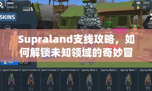 Supraland支線(xiàn)攻略，如何解鎖未知領(lǐng)域的奇妙冒險(xiǎn)？