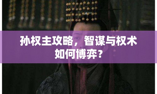 孫權(quán)主攻略，智謀與權(quán)術(shù)如何博弈？