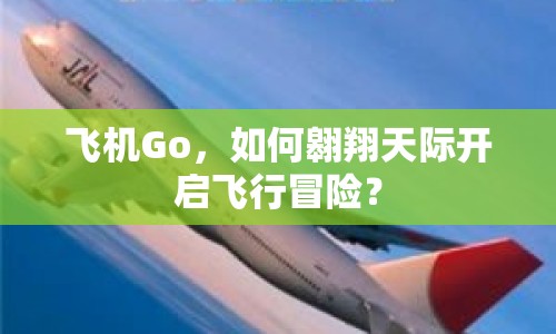飛機(jī)Go，如何翱翔天際開啟飛行冒險(xiǎn)？