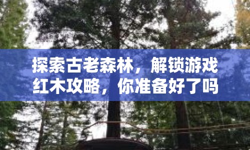探索古老森林，解鎖游戲紅木攻略，你準備好了嗎？