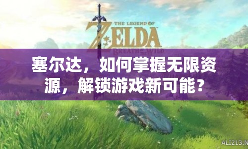 塞爾達(dá)，如何掌握無限資源，解鎖游戲新可能？