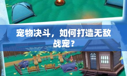 寵物決斗，如何打造無敵戰(zhàn)寵？