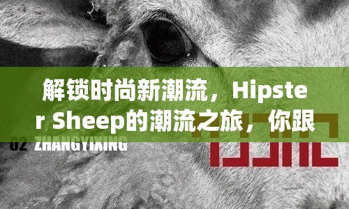 解鎖時(shí)尚新潮流，Hipster Sheep的潮流之旅，你跟上了嗎？