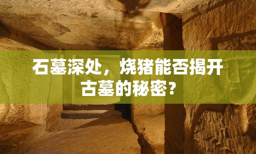 石墓深處，燒豬能否揭開(kāi)古墓的秘密？