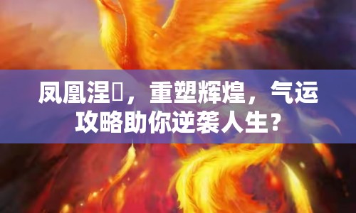 鳳凰涅槃，重塑輝煌，氣運(yùn)攻略助你逆襲人生？