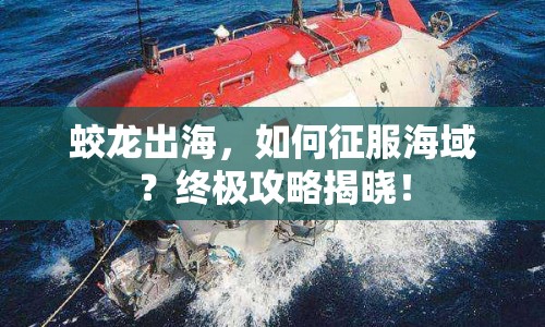 蛟龍出海，如何征服海域？終極攻略揭曉！
