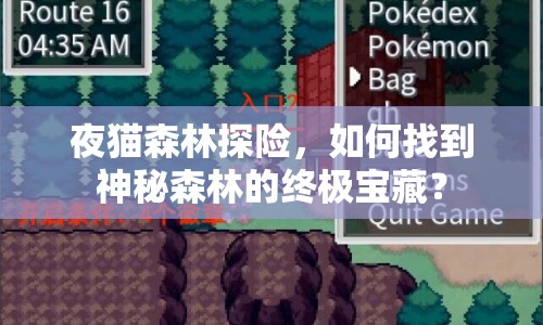 夜貓森林探險(xiǎn)，如何找到神秘森林的終極寶藏？