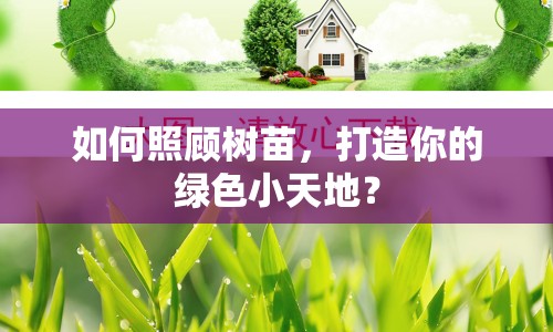 如何照顧樹苗，打造你的綠色小天地？