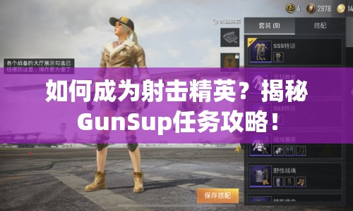 如何成為射擊精英？揭秘GunSup任務(wù)攻略！