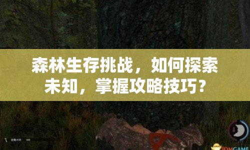 森林生存挑戰(zhàn)，如何探索未知，掌握攻略技巧？