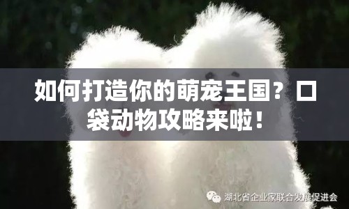 如何打造你的萌寵王國？口袋動物攻略來啦！