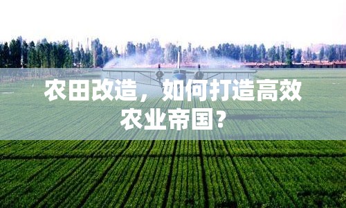 農田改造，如何打造高效農業(yè)帝國？